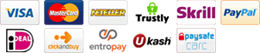 Online payment methods